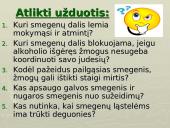 Galvos smegenys - teorija 19 puslapis