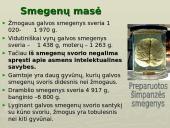 Galvos smegenys - teorija 5 puslapis