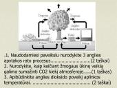 Anglies bei deguonies apytaka biosferoje 12 puslapis