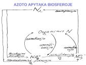 Azoto apytaka biosferoje 4 puslapis