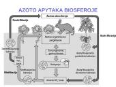 Azoto apytaka biosferoje 5 puslapis