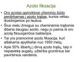 Azoto apytaka biosferoje 8 puslapis
