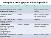 Azoto apytaka biosferoje 9 puslapis