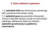 Organizmų požymių paveldėjimas ir genų technologijos 2 puslapis