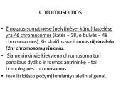 Organizmų požymių paveldėjimas ir genų technologijos 12 puslapis