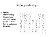 Organizmų požymių paveldėjimas ir genų technologijos 14 puslapis
