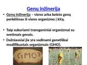 Organizmų požymių paveldėjimas ir genų technologijos 19 puslapis