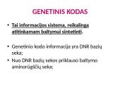 Organizmų požymių paveldėjimas ir genų technologijos 20 puslapis