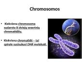 Organizmų požymių paveldėjimas ir genų technologijos 10 puslapis