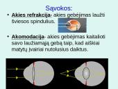 Akis - regėjimo organas  14 puslapis