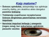 Akis - regėjimo organas  19 puslapis
