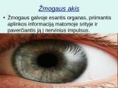 Akis - regėjimo organas  3 puslapis