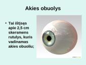 Akis - regėjimo organas  5 puslapis