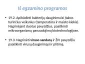 Bakterinės ir virusinės ligos 2 puslapis