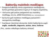 Bakterinės ir virusinės ligos 18 puslapis