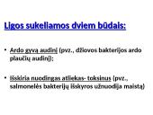 Bakterinės ir virusinės ligos 3 puslapis