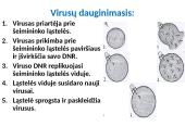 Bakterinės ir virusinės ligos 10 puslapis