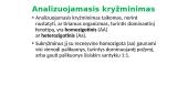 Organizmų požymių paveldėjimas ir kintamumas 11 puslapis