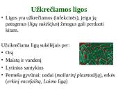 Organizmo apsauga nuo žalingo aplinkos poveikio 2 puslapis