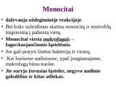 Organizmo apsauga nuo žalingo aplinkos poveikio 11 puslapis