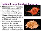 Organizmo apsauga nuo žalingo aplinkos poveikio 12 puslapis