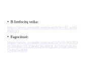 Organizmo apsauga nuo žalingo aplinkos poveikio 13 puslapis