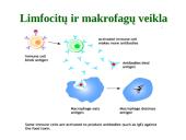 Organizmo apsauga nuo žalingo aplinkos poveikio 14 puslapis