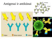 Organizmo apsauga nuo žalingo aplinkos poveikio 16 puslapis