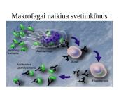 Organizmo apsauga nuo žalingo aplinkos poveikio 18 puslapis