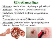 Organizmo apsauga nuo žalingo aplinkos poveikio 3 puslapis