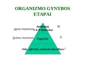 Organizmo apsauga nuo žalingo aplinkos poveikio 4 puslapis