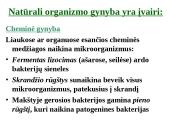 Organizmo apsauga nuo žalingo aplinkos poveikio 6 puslapis