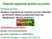 Organizmo apsauga nuo žalingo aplinkos poveikio 7 puslapis