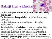 Organizmo apsauga nuo žalingo aplinkos poveikio 8 puslapis