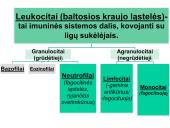 Organizmo apsauga nuo žalingo aplinkos poveikio 9 puslapis