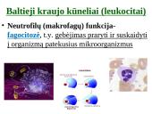 Organizmo apsauga nuo žalingo aplinkos poveikio 10 puslapis