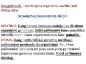 Organizmų dauginimasis - teorija 4 puslapis