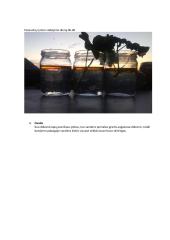 Lapų paviršiaus ploto įtakos vandens pernašos greičiui tyrimas  2 puslapis