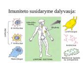 Imunitetas. Skiepai 3 puslapis