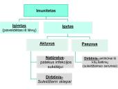 Imunitetas. Skiepai 4 puslapis