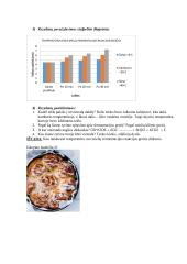 Temperatūros įtakos mielių fermentacijos reakcijos greičiui tyrimas ir tyrimo ataskaita 2 puslapis