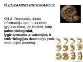 Evoliucijos įrodymai - teorija 2 puslapis