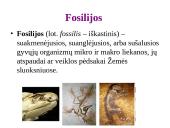 Evoliucijos įrodymai - teorija 11 puslapis