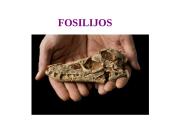 Evoliucijos įrodymai - teorija 13 puslapis