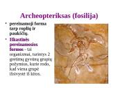 Evoliucijos įrodymai - teorija 14 puslapis