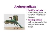 Evoliucijos įrodymai - teorija 15 puslapis