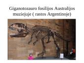 Evoliucijos įrodymai - teorija 16 puslapis