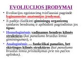 Evoliucijos įrodymai - teorija 3 puslapis