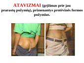 Evoliucijos įrodymai - teorija 7 puslapis