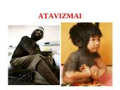 Evoliucijos įrodymai - teorija 8 puslapis